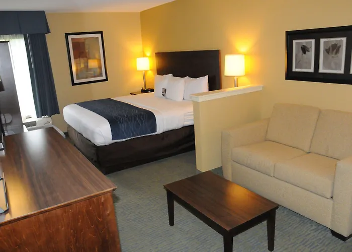 Comfort Inn & Suites Newark - Wilmington